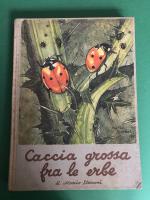 CACCIA GROSSA FRA LE ERBE MARIO STURANI 1940