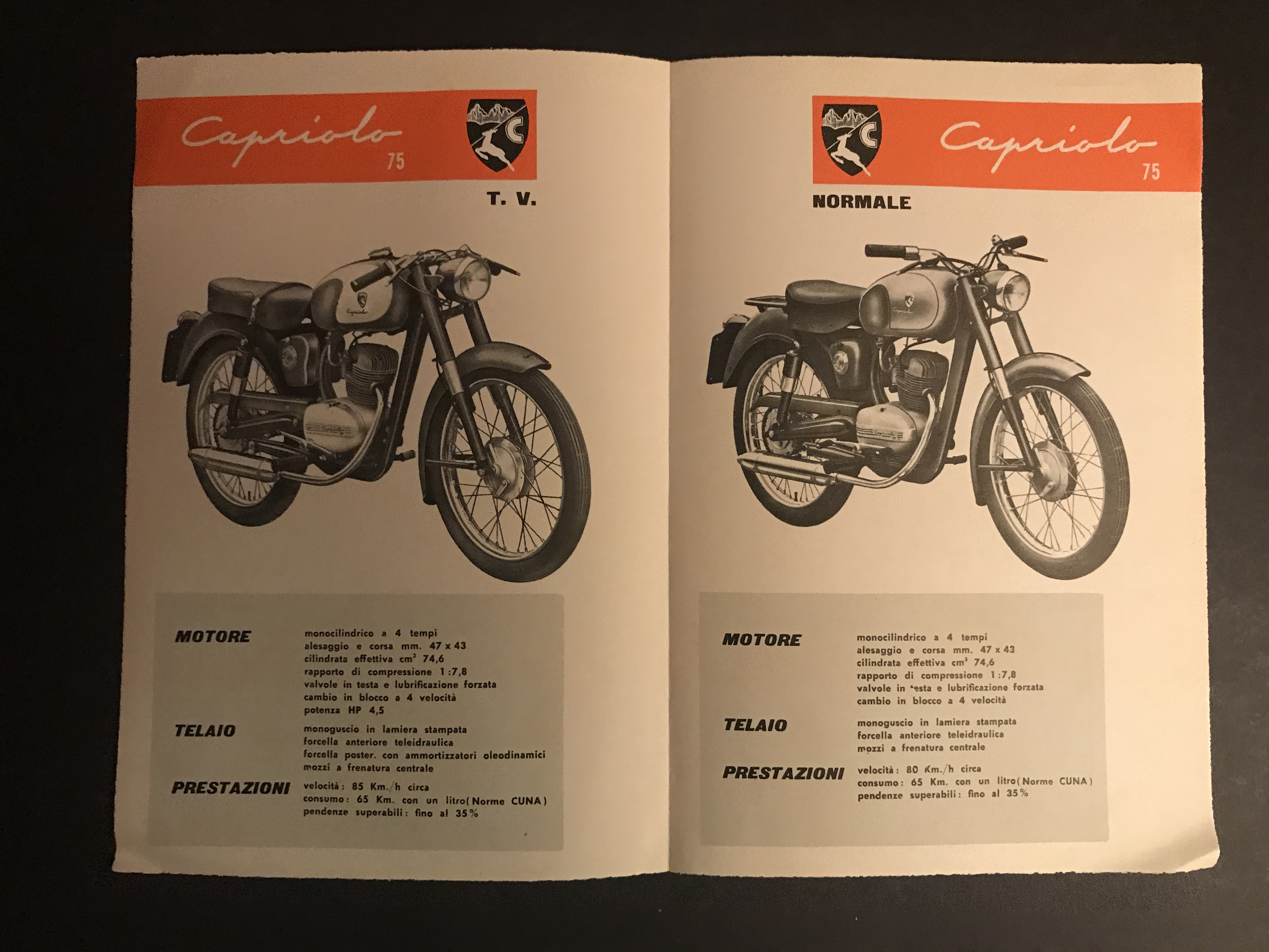 Brochure moto MOSQUITO