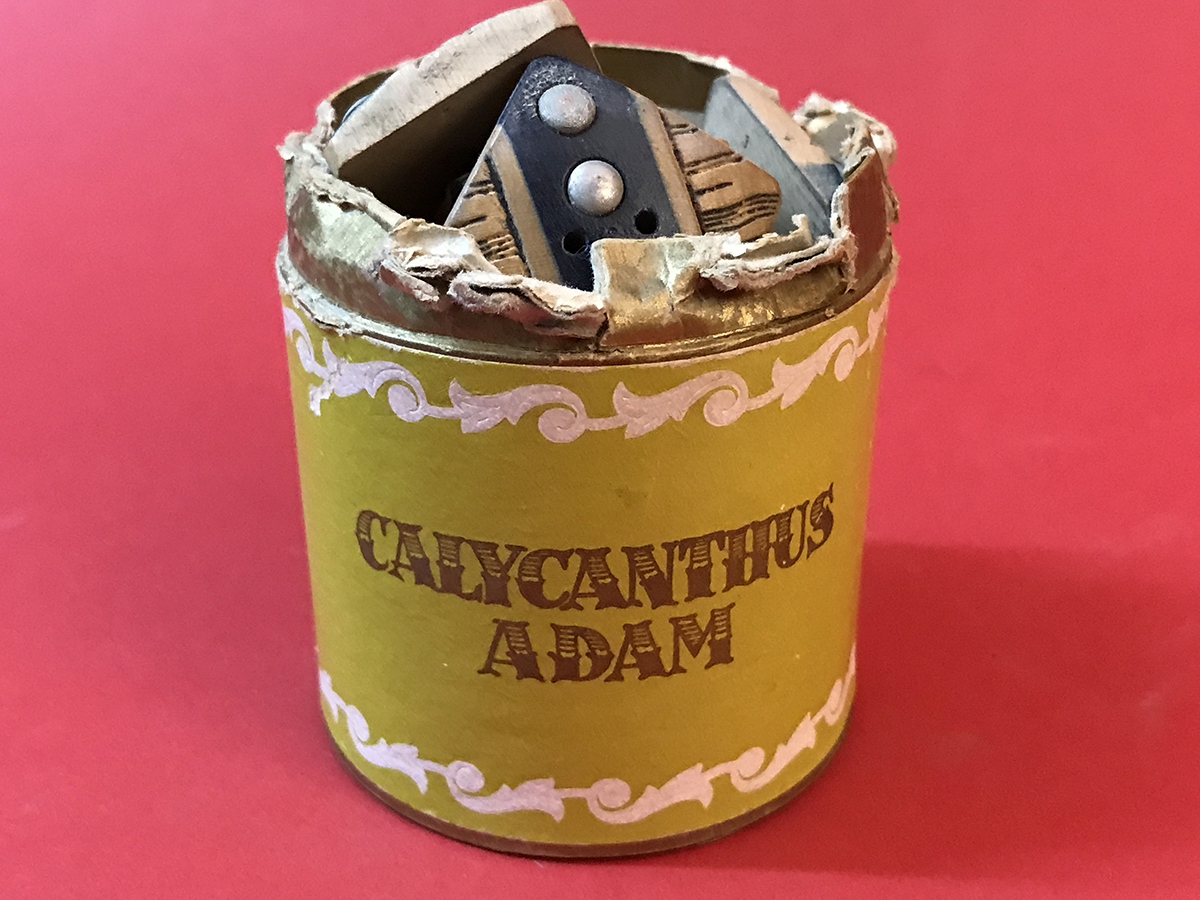 SCATOLA DI LATTA